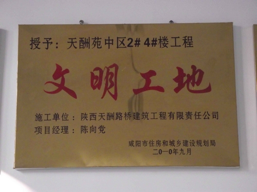 2010�괴����������