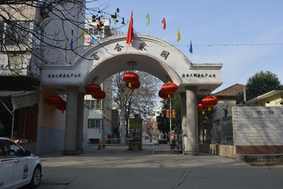 �ٺ�С����Ŀ